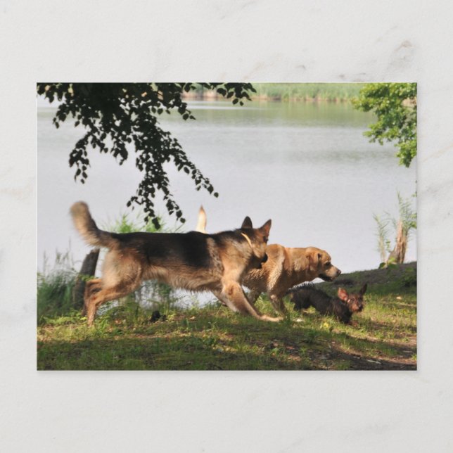 Roligt, roligt, roligt! vykort (Framsida)