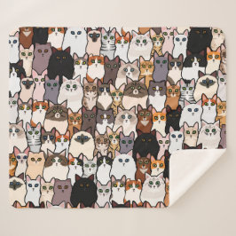 Roligt så många katter och kittens Collage