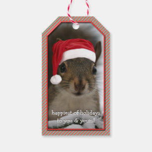 Roligt Santa Squirrel Wearing Santa Hat Presentetikett