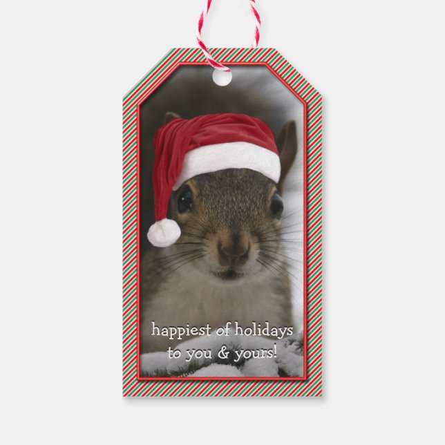 Roligt Santa Squirrel Wearing Santa Hat Presentetikett (Baksidan)
