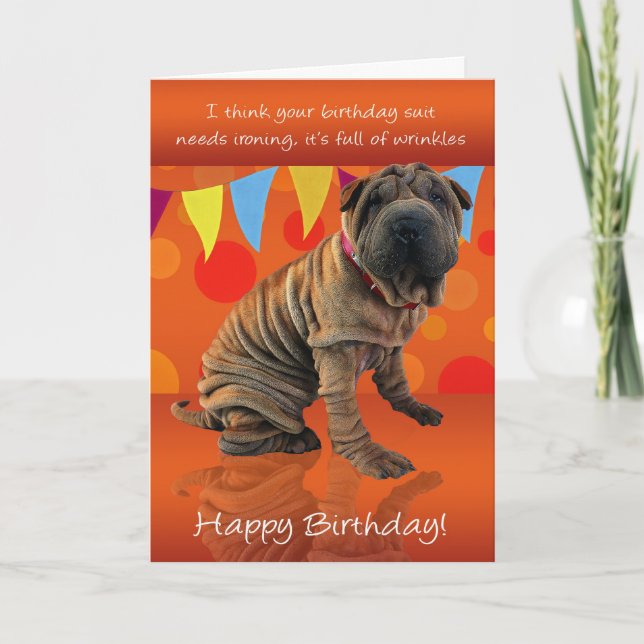 Roligt Shar Pei Birthday Card med födelsedagsdagen Kort (Framsida)