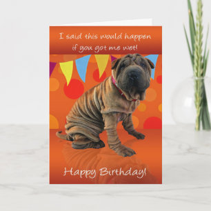 Roligt Shar Pei Birthday Card med födelsedagsdagen Kort
