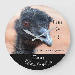 Roligt slut upp av en Emu i Australien Stor Klocka