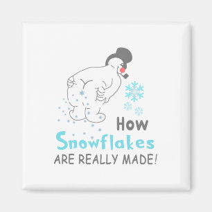 Roligt Snö Hur Snöflingor verkligen är Tillverkade Magnet