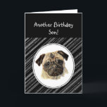 Roligt Son Titta inte Ledsen Birthday Pug Pet Hund Kort<br><div class="desc">Ett annat födelsedagskort humor för Son som kärlek Pugs,  Pet Hund</div>