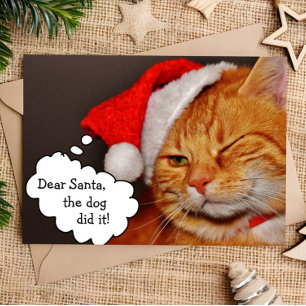 Roligt Sött God Jul Semester Kattkort Helgkort