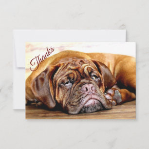 Roligt Spipande Grumpy Hund Pet Animal Tack Kort