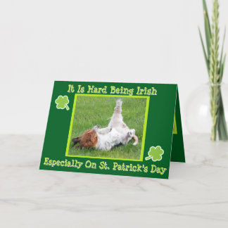 Roligt St. Patrick's Day-kort med Basset & Grönt Ö Kort
