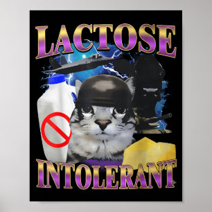 Roligt talesätt laktosintolerant dumt katt meme ka poster
