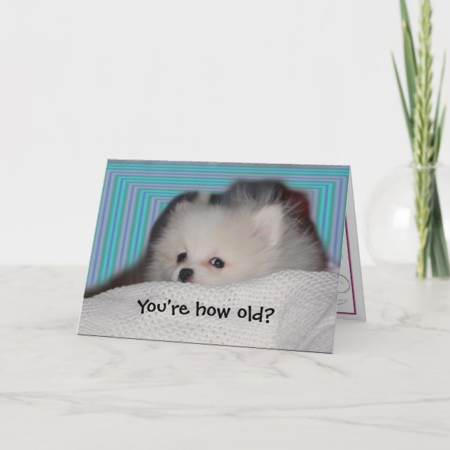 Roligt valpfödelsedagkort kort (Framsida)