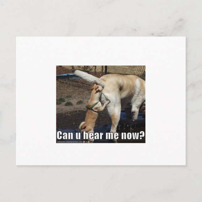 roligt vykort (Framsida)