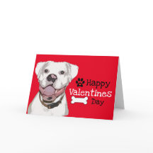 Roligt White Boxer Hund Valentine