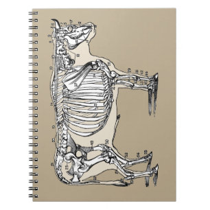 Roligten Antique Cow Skeleton Bones Anteckningsbok Med Spiral