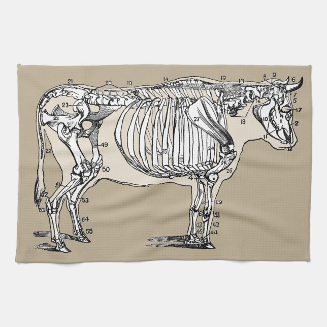 Roligten Antique Cow Skeleton Bones Kökshandduk (Horisontell)
