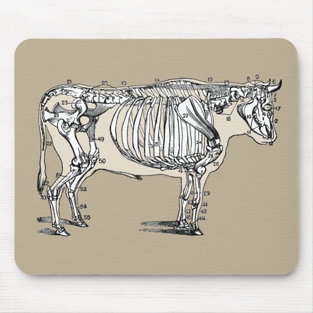 Roligten Antique Cow Skeleton Bones Musmatta (Framsidan)