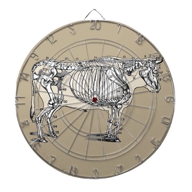 Roligten Antique Cow Skeleton Bones Piltavla (Framsidan)