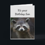 Roligten Humor Ledsen Raccoon Humor kort för födel<br><div class="desc">Bladdagen för din Son-Roligt-ålder Bara för att du har haft många av dem. Humoristisk depression Raccoon Animal Art</div>