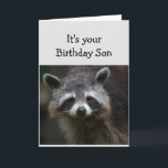 Roligten Humor Ledsen Raccoon Humor kort för födel<br><div class="desc">Bladdagen för din Son-Roligt-ålder Bara för att du har haft många av dem. Humoristisk depression Raccoon Animal Art</div>