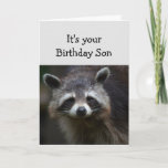 Roligten Humor Ledsen Raccoon Humor kort från föde<br><div class="desc">Bladdagen för din Son-Roligt-ålder Bara för att du har haft många av dem.  Humoristisk depression Raccoon Animal Art</div>