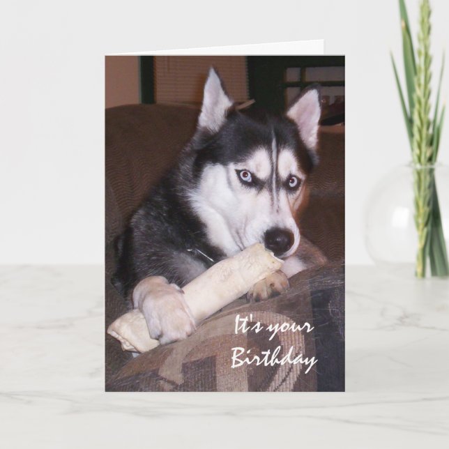 Roligten Husky Fyll dagen Kort (Framsida)