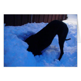 ROLIGTEN i SNÖ Hälsningskort