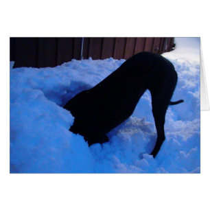 ROLIGTEN i SNÖ Hälsningskort