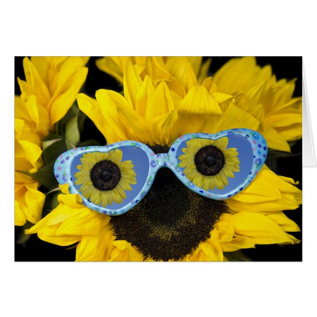 ROLIGTEN i SOL OBS Kort (Framsidan Horizontal)