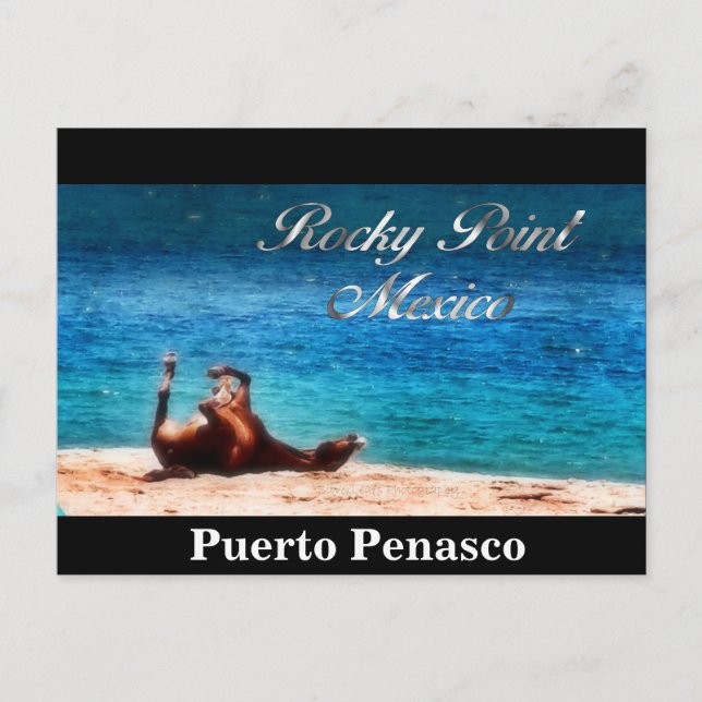 Roligten i Sol Vykort (Framsida)