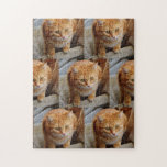 Roligten Pet Hund Cat Photo  Anpassa Anpassningsba Pussel<br><div class="desc">Den här designen har skapats med digitalteknik. Det kan vara personlig genom att klicka på anpassningsknappen och ändra färg, lägga till namn, initialer eller ord. Kontakta mig på colorflowcreations@gmail.com om du vill ha denna design på en annan produkt. Köp min ursprungliga abstrakt-akrylmålning för försäljning på www.etsy.com/shop/colorflowart. Visa fler av mina...</div>