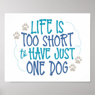 Roligtens Hund - Livet är för kort Poster