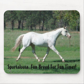 Roligttider Musmatta