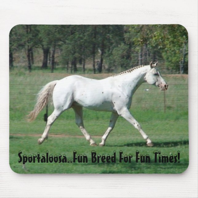 Roligttider Musmatta (Framsidan)