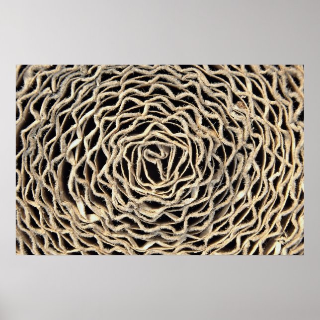 Roll av korrugerad papper poster (Framsidan)