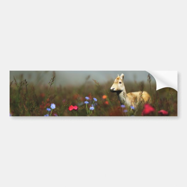 Roll i ett Meadow Bumper-märke Bildekal (Framsidan)