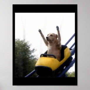 Rollekost för Labrador-hund Roligt Meme Poster