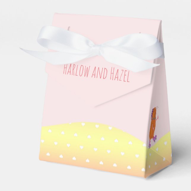 Rollerskokväska från partiet hund & Guinea gris Presentaskar (Framsidan Sidan)