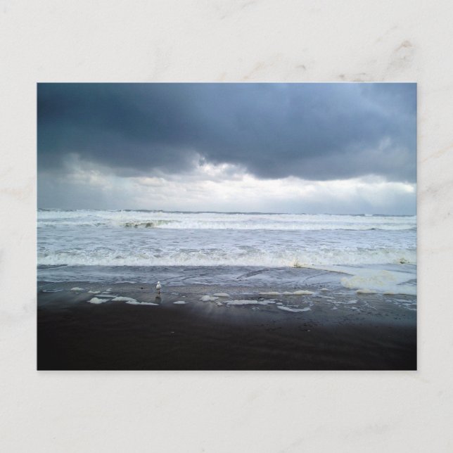Rollhav i Agate Beach Oregon-vykort Vykort (Framsida)