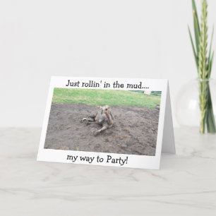 ROLLIN I LERA/CLEBRATING "DIN BRITDAG"! KORT