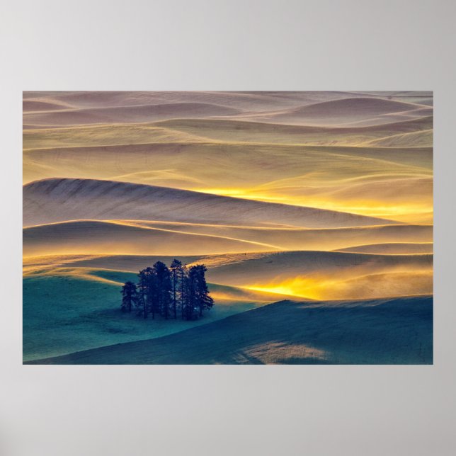 Rolling Backe of Wheat at Sunrise | WA Poster (Framsidan)