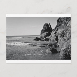 Rolling Beach Black and White Vykort