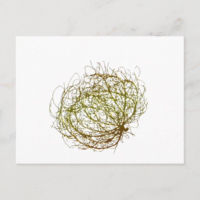 Rolling Golden Tumbleweed Plant Art Vykort (Framsida)