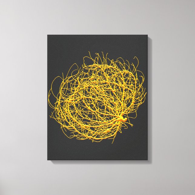 Rolling Golden Tumbleweed Plant Original Art Canvastryck (Framsida)