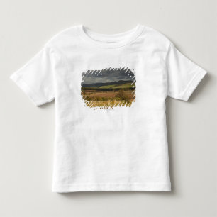 Rolling Hills och berg under en molnig himmel Tee Shirt