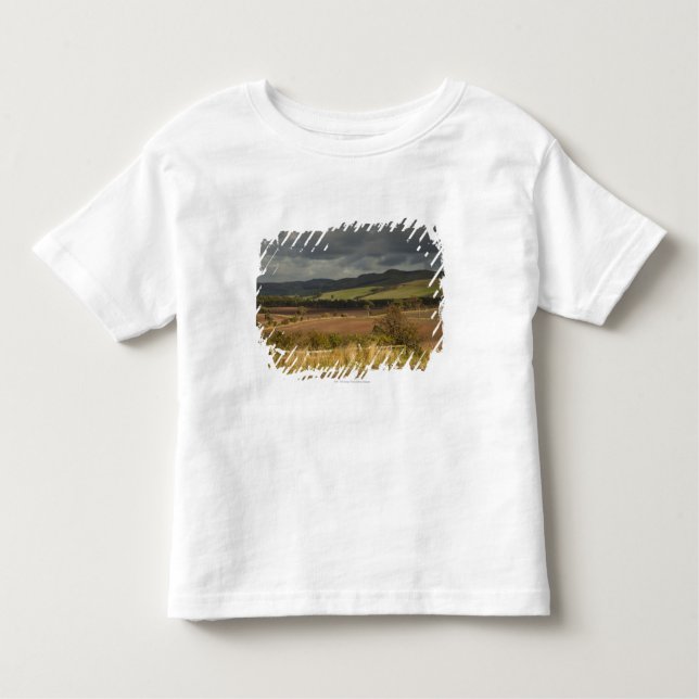 Rolling Hills och berg under en molnig himmel Tee Shirt (Framsida)
