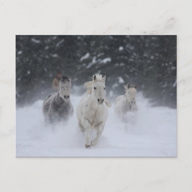 Rolling Thunder Vykort (Framsida)