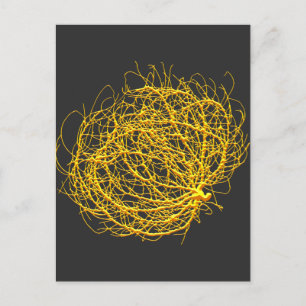 RollinGolden Tumbleweed Plant Original Art Vykort