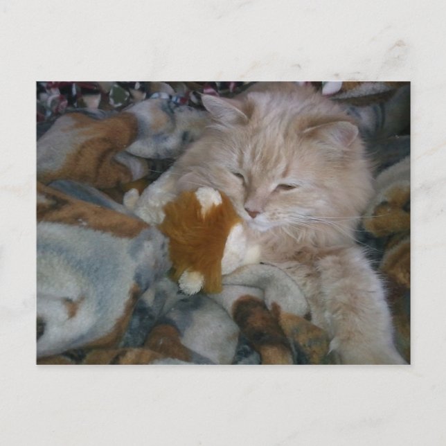 Rollmodellkategori Vykort (Framsida)