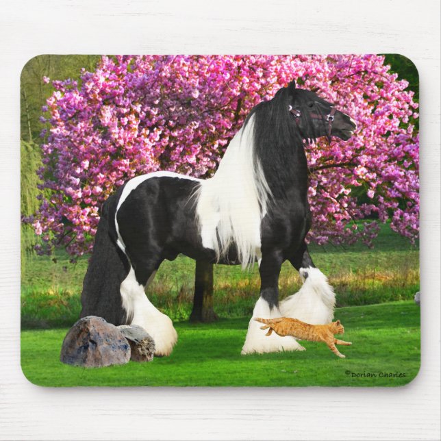 "Rollo & Cat" Mousepad Musmatta (Framsidan)