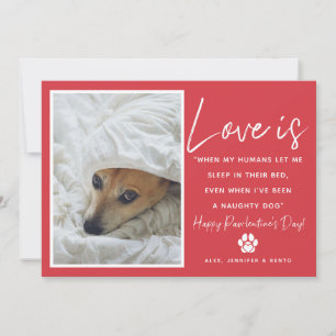 Rolsk kärlek är husdjurs valentine julkort