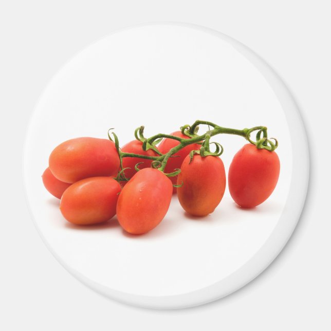 Roma Tomato Magnet (Framsidan)